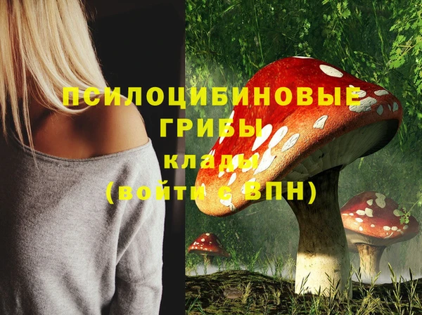 бутират Кинешма