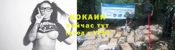 ПСИЛОЦИБИНОВЫЕ ГРИБЫ Козельск