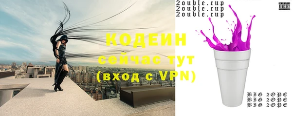не бодяженный Корсаков