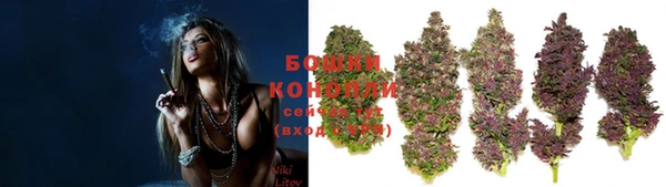 ПСИЛОЦИБИНОВЫЕ ГРИБЫ Козельск