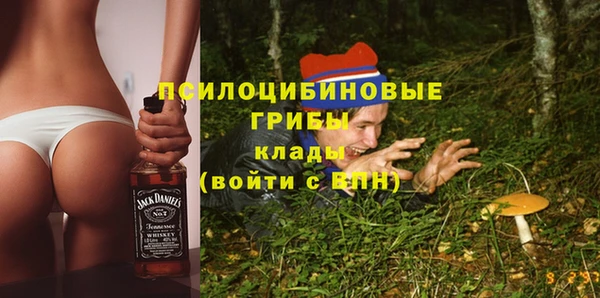 не бодяженный Корсаков