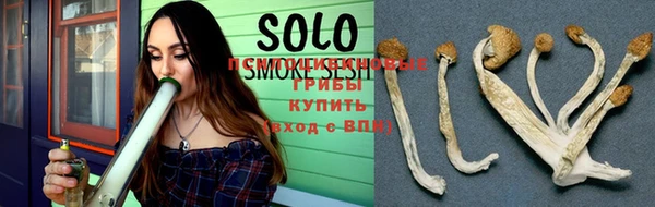 ПСИЛОЦИБИНОВЫЕ ГРИБЫ Козельск