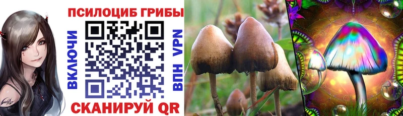 Галлюциногенные грибы прущие грибы Ковдор